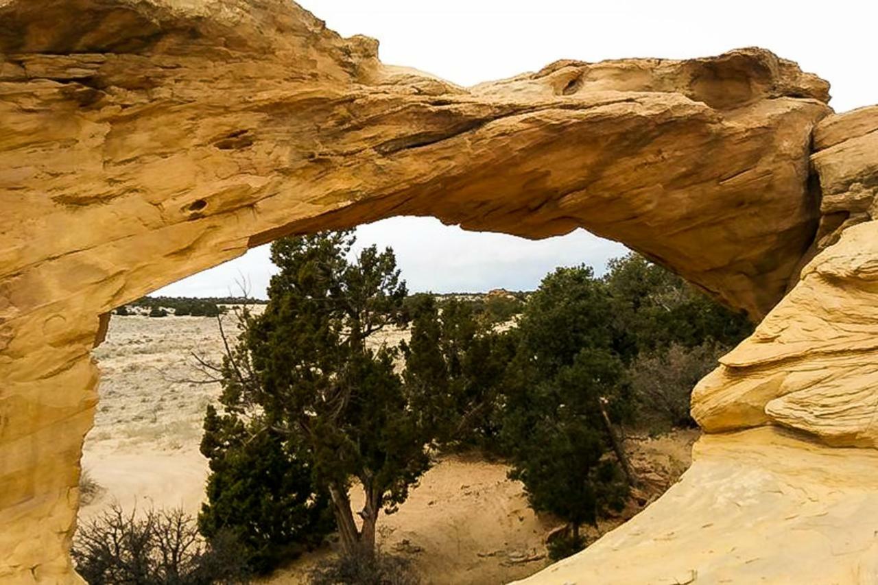 Rim Vista 9A8 Villa Moab Exterior photo